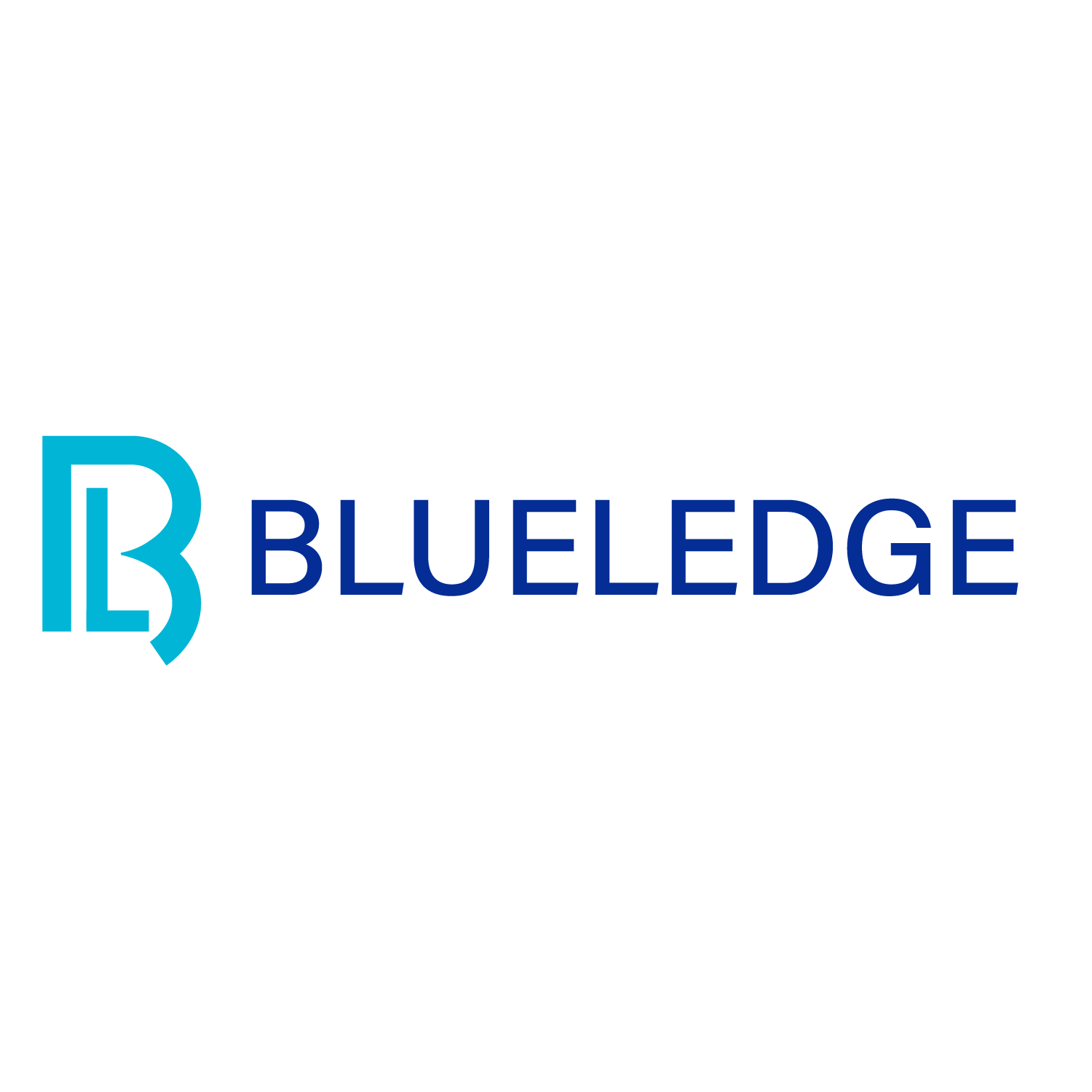 BLUELEDGE Tackles Court Reporting Shortage